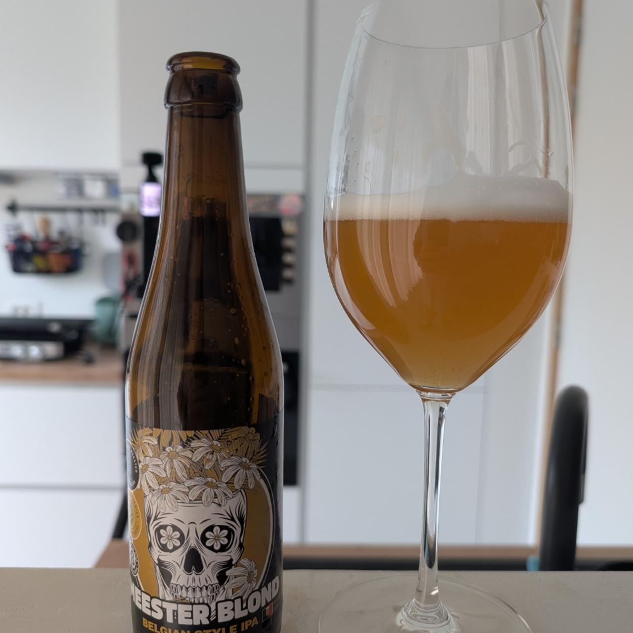 Meester Blond IPA van Brewery De Meester